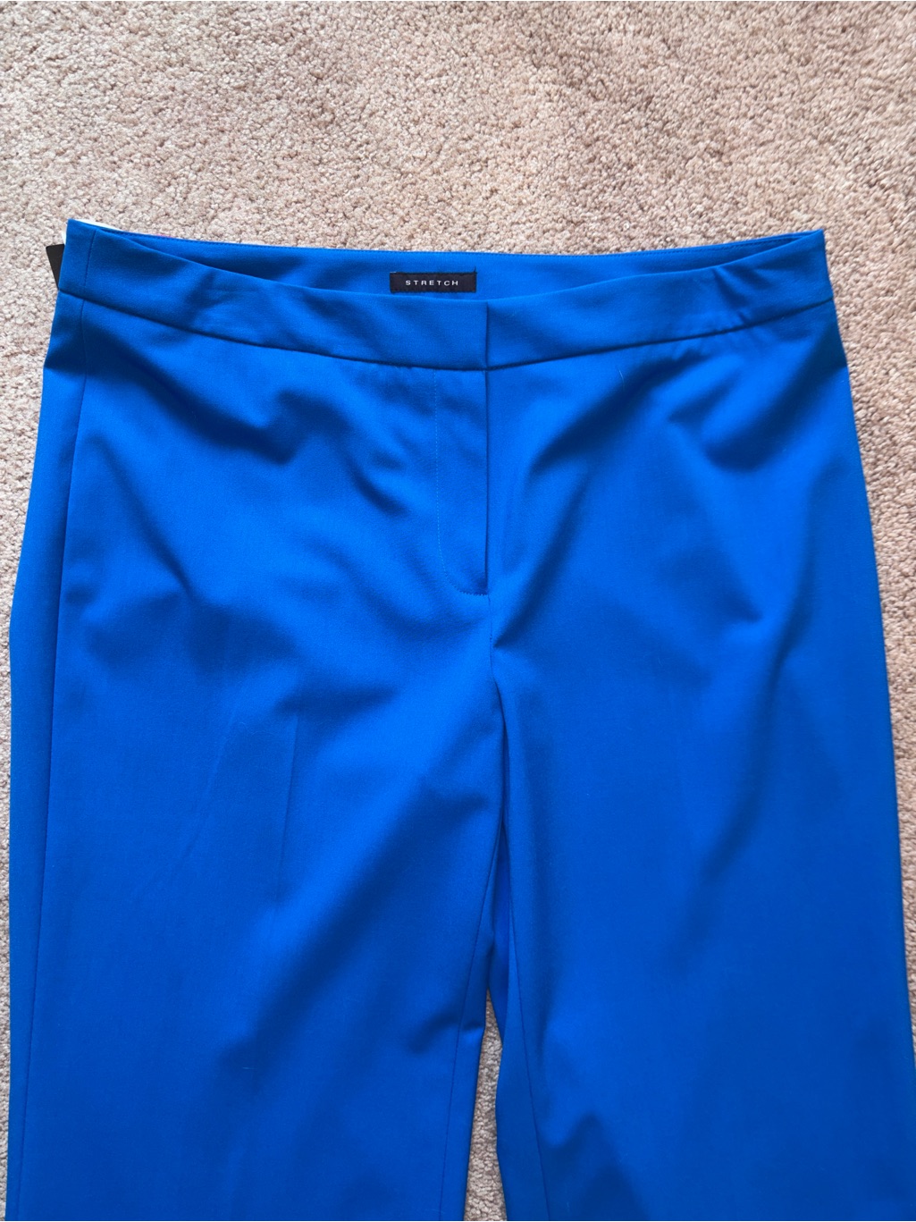 Nwt Jones New York Bright Royal Blue Wide Leg Stretch Dress Pants 10 — image 2 of 8